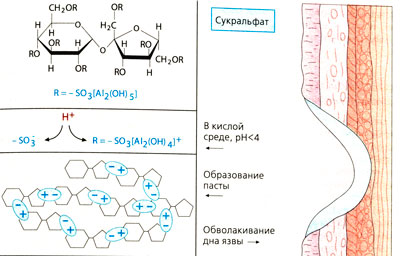 А. Строение и защитное действие сукральфата