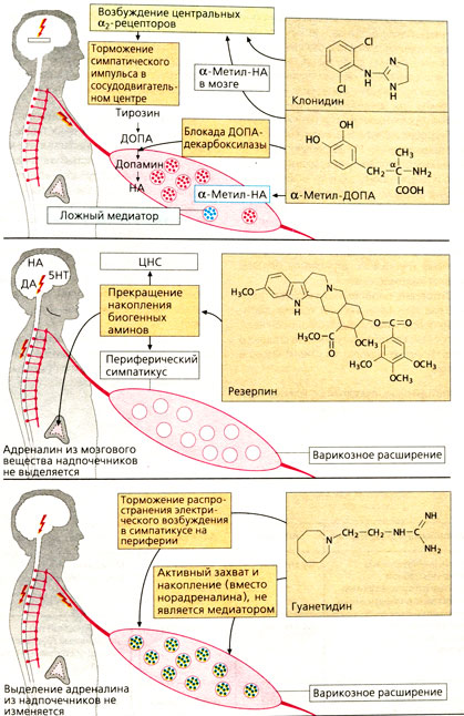 Симпатолитики
