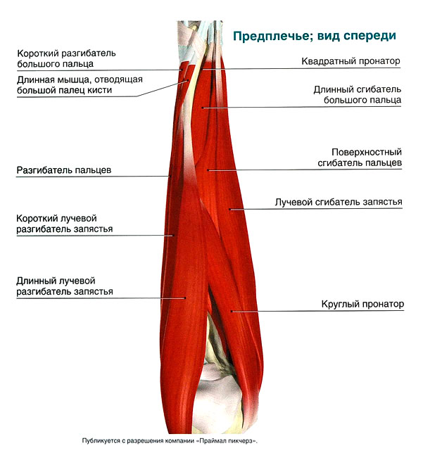 Файл:O 106 1.jpg