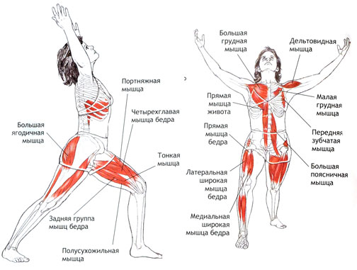ВИРАБХАДРАСАНА I Поза воина I