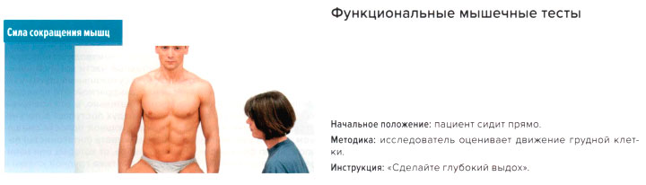 Функциональные мышечные тесты