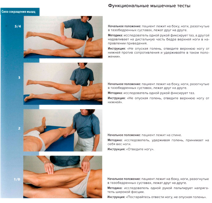 Функциональные мышечные тесты