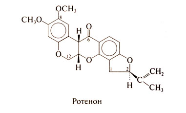 Файл:Gm1452 2.jpg
