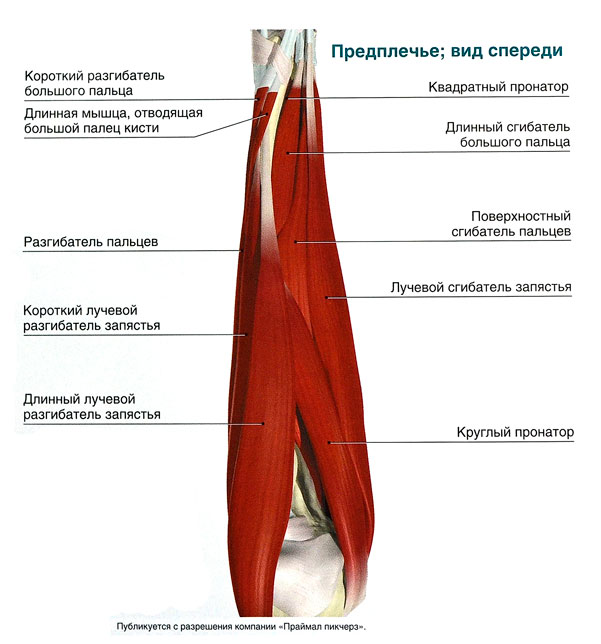 Файл:О 106 1.jpg