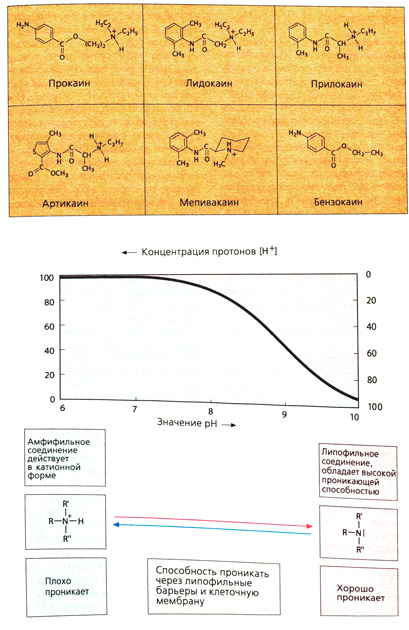 А. Местные анестетики при разных значениях pH