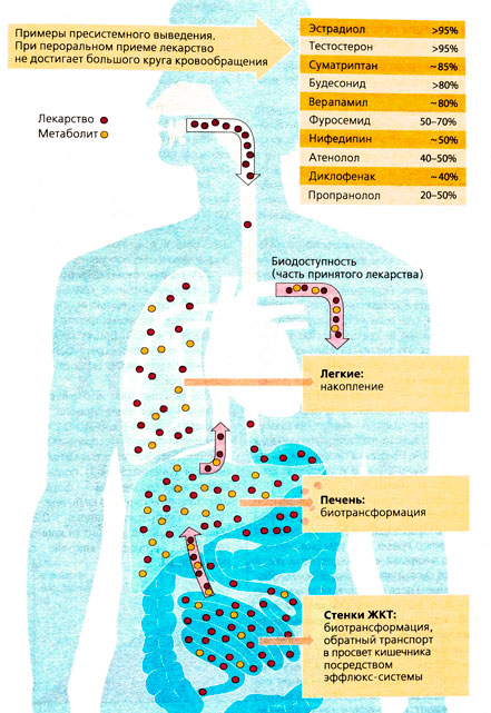 пресистемное выведение