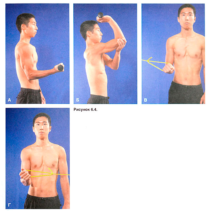 Файл:Ris 6 4.jpg