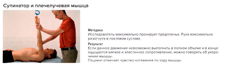 Стресс-тест супинатора и плечелучевой мышцы