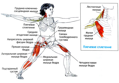 ВИРАБХАДРАСАНА II Поза воина
