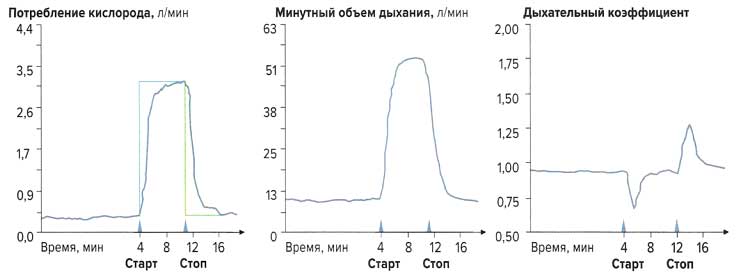 Файл:Mishci sport88.jpg