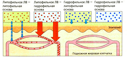 Основа как носитель лекарственного вещества