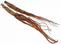 Файл:Rhizoma atractylodis.jpg