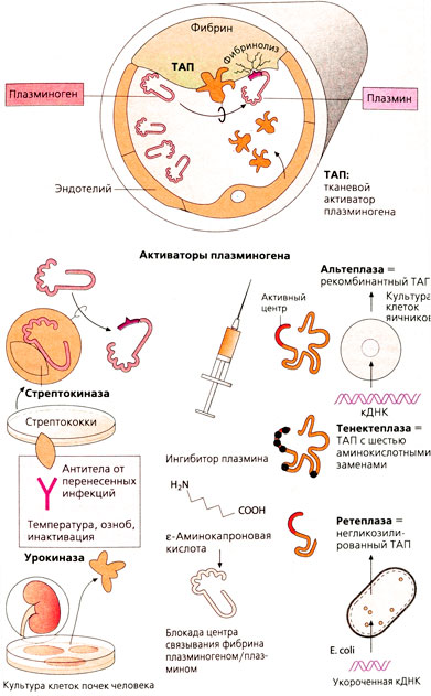 Фибринолитики