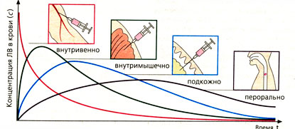 Зависимость концентрации в крови от способа введения ЛВ
