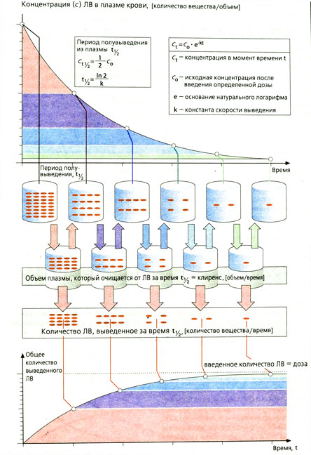 Экспоненциальное выведение ЛВ