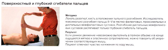 Стресс-тест поверхностного и глубокого сгибателей пальцев