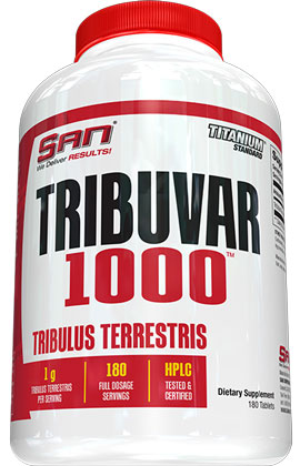 SAN Tribuvar-1000.jpg