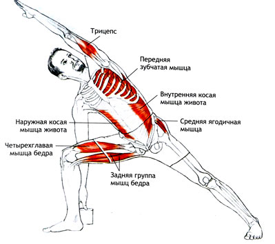 УТТХИТА-ПАРШВАКОНАСАНА Поза вытянутого бокового угла