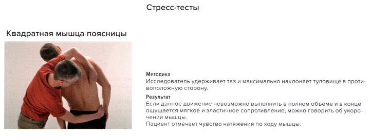 Стресс-тест квадратной мышцы поясницы