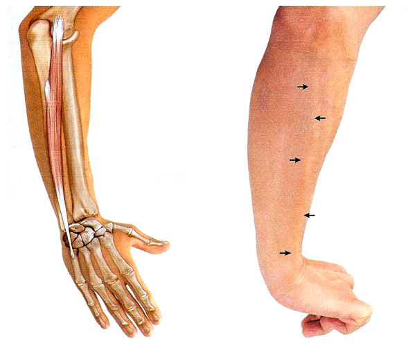 Файл:Mishci sport38.jpg