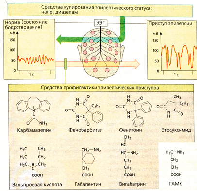 А.Приступы эпилепсии, ЭЭГ, противоэпилептические средства