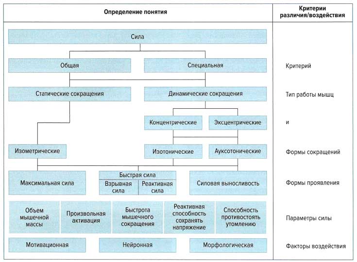Файл:Mishci sport98.jpg
