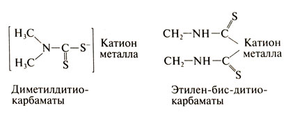 Файл:Gm1457 1.jpg