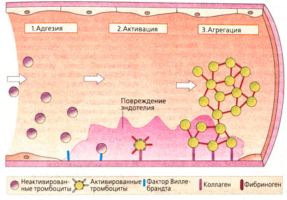 Тромбообразование