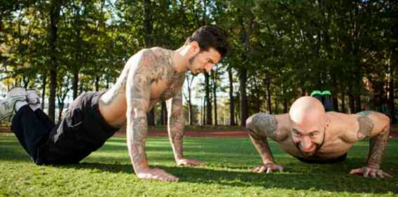 Файл:Sila kavaldo2.jpg