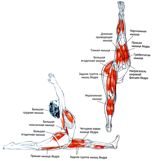 ХАНУМАНАСАНА - Поза обезьяны
