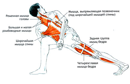 ПАРИВРИТТА-БАДДХА-ПАРШВАКОНАСАНА Поза обратного бокового угла