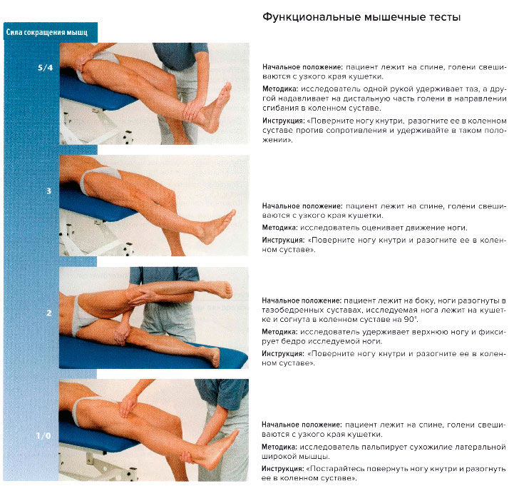 Функциональные мышечные тесты