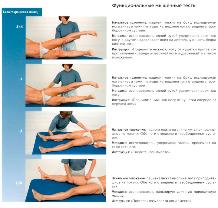 Функциональные мышечные тесты