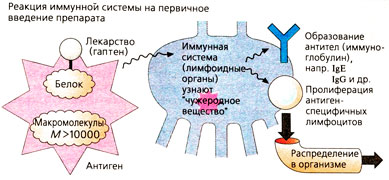 А. Побочные действия лекарств: аллергические реакции