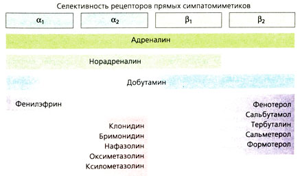 В. Прямые симпатомиметики