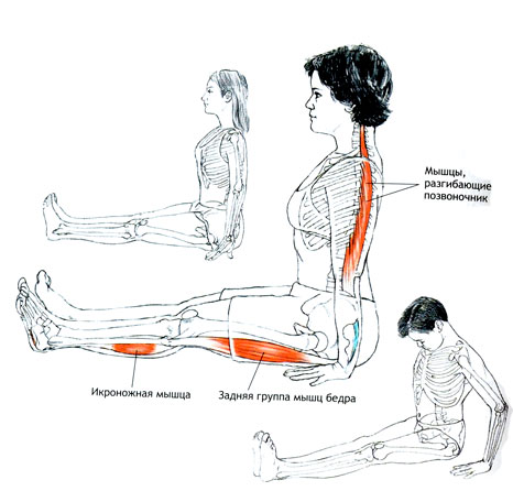 ДАНДАСАНА Поза посоха