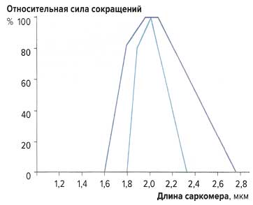Файл:Mishci sport82.jpg