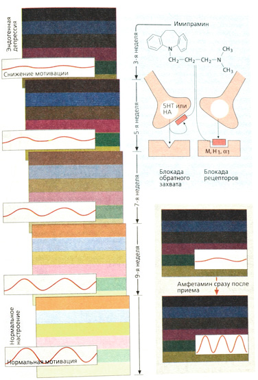 А. Действие антидепрессантов