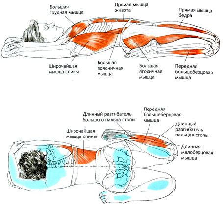 СУПТА-ВИРАСАНА - Поза героя лежа на спине