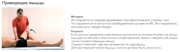 Приводящие мышцы. Стресс тест