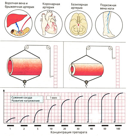 Изменение эффекта в зависимости от концентрации