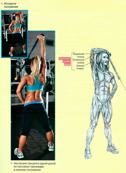 Экстензия трицепса одной рукой на тросовом тренажере в нижнем положении