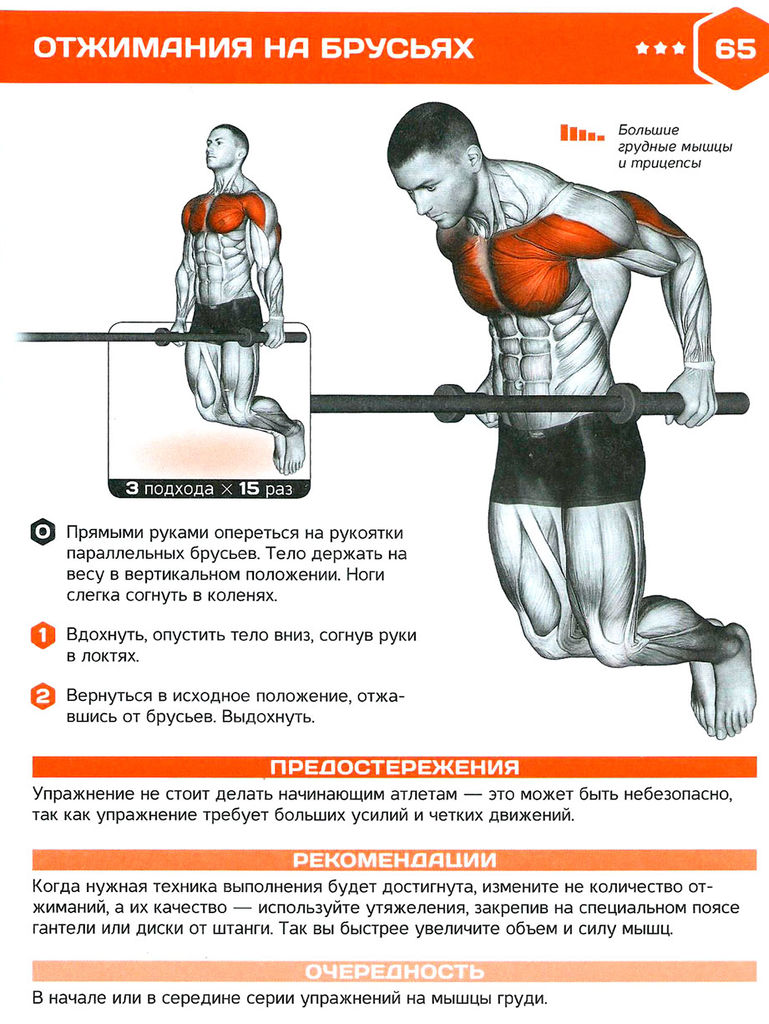 Файл:Silov men65.jpg