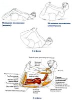 Перекаты на животе