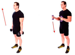 Молотковые сгибания стоя