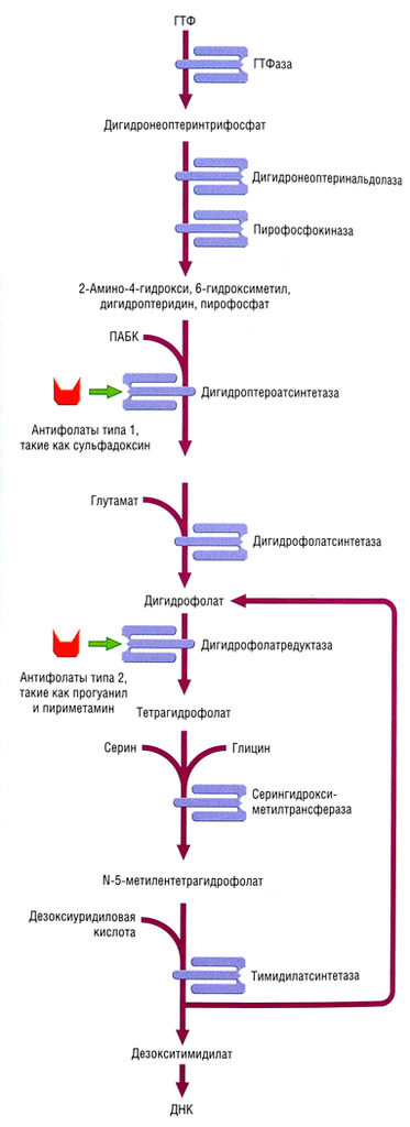Файл:Ph 6 25.jpg