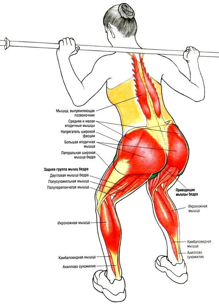 Файл:SAM 48712.jpg