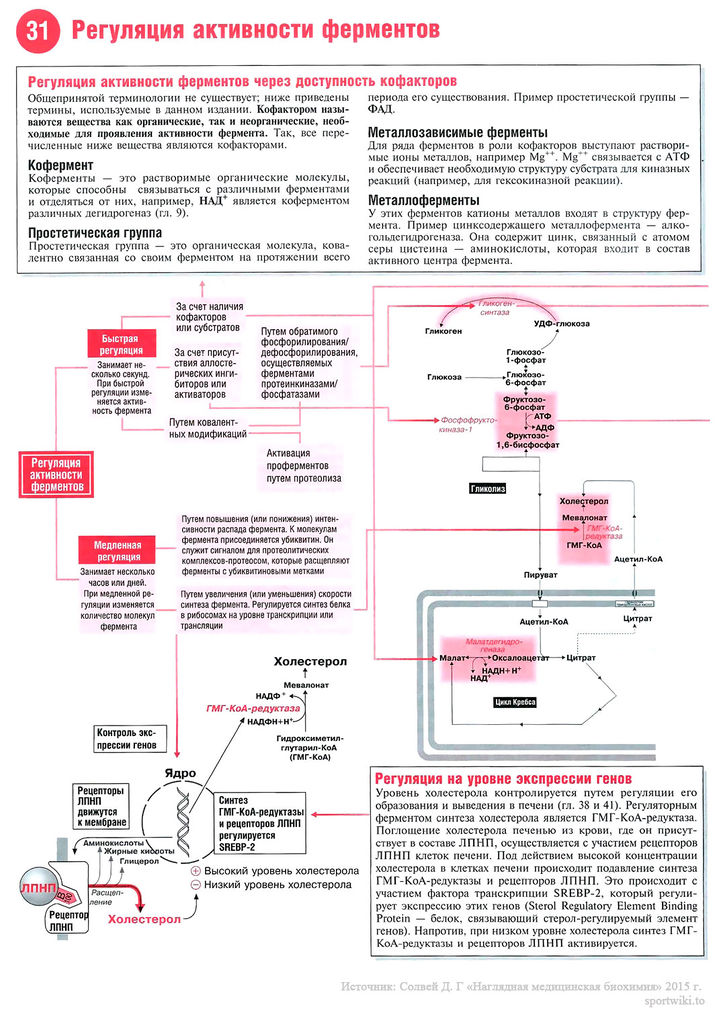 Файл:Scan72 1.jpg