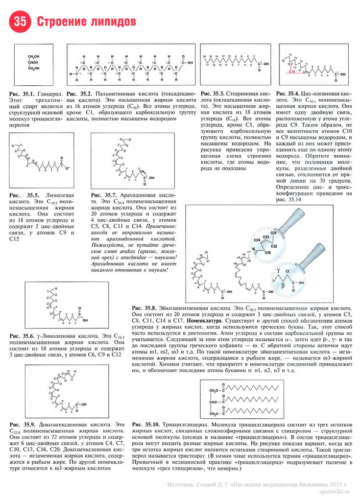 Файл:Scan80 1.jpg