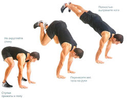 Лягающийся осел